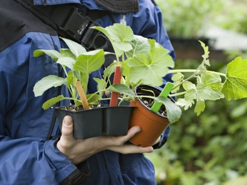 5714828836_260f85b651